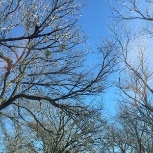 Meet your Posher, Kay